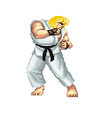 Street Fighter Character