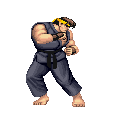 Street Fighter Character