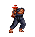 Street Fighter Character