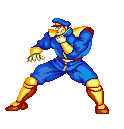Street Fighter Character
