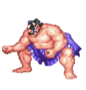 Street Fighter Character