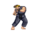 Street Fighter Character