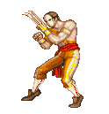Street Fighter Character